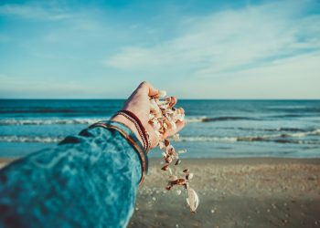 person throwing seashells on seashore