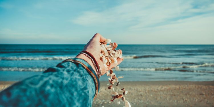 person throwing seashells on seashore